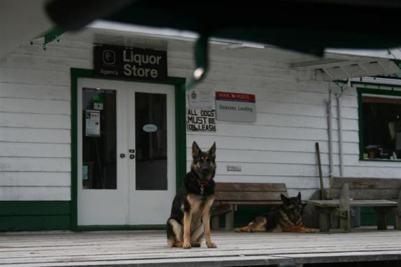 Dawsons Landing store