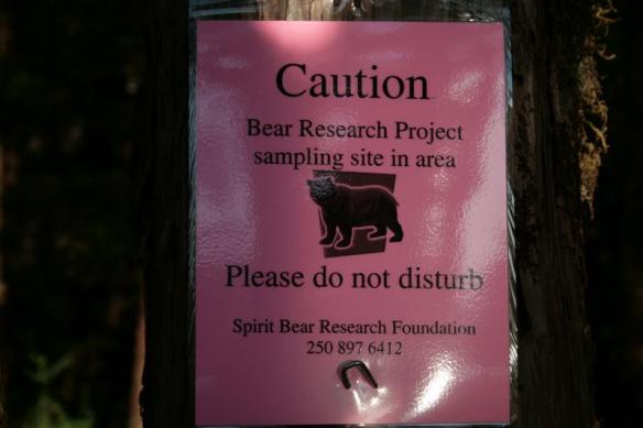 Bear research......