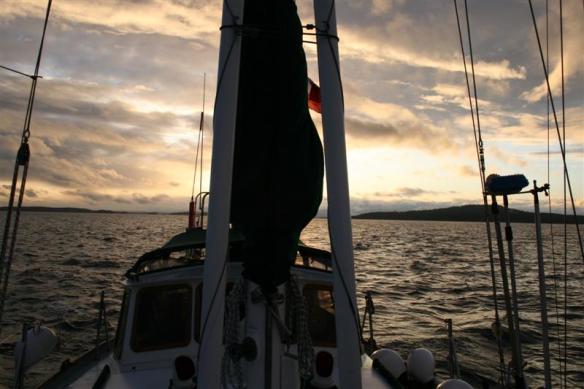 Curtsy on the move, a beautiful evening!