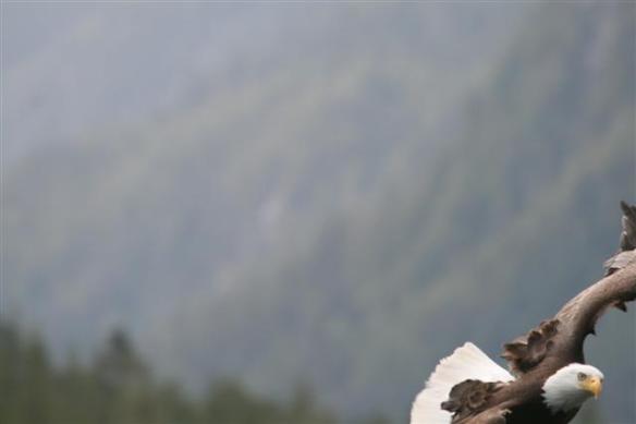 Not exactly centered, but i like this shot.