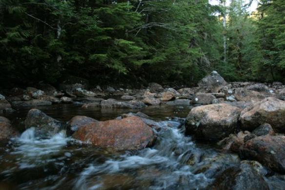 Beautiful,peaceful creek.