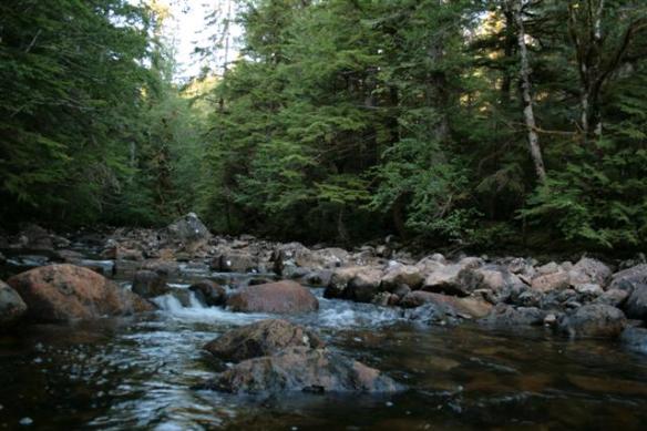 Creek in Chapple Inlet