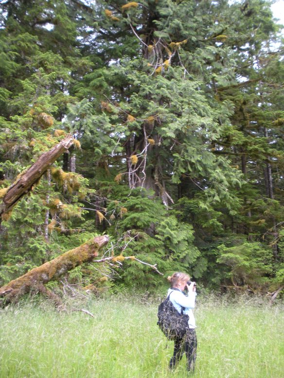 Doing what i love to do!