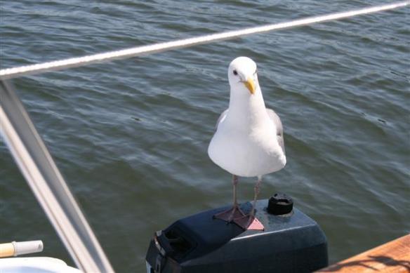 Jonathan would stand on the outboard to get closer