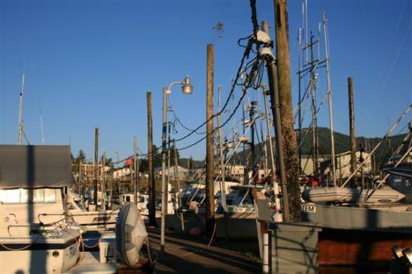 the marina in Petersburg.