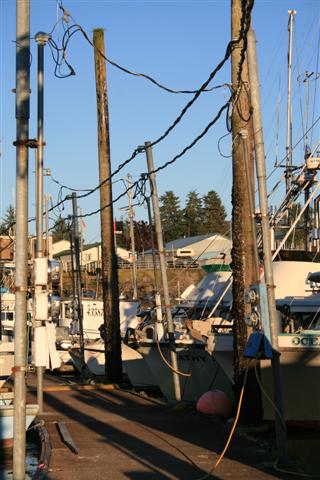 the marina in Petersburg.