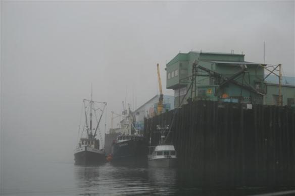 Then the sun left......and it stayed dark and gloomy.