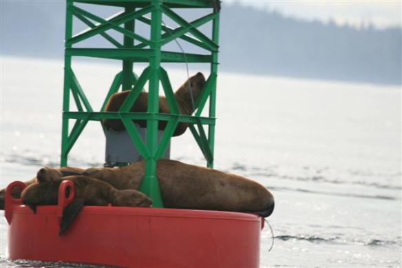 Look at the guy on the second  level....