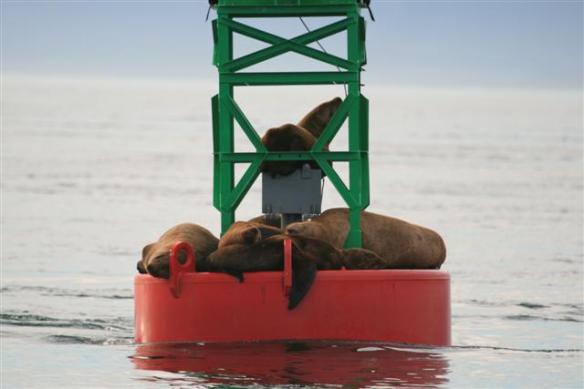 A nice resting place....