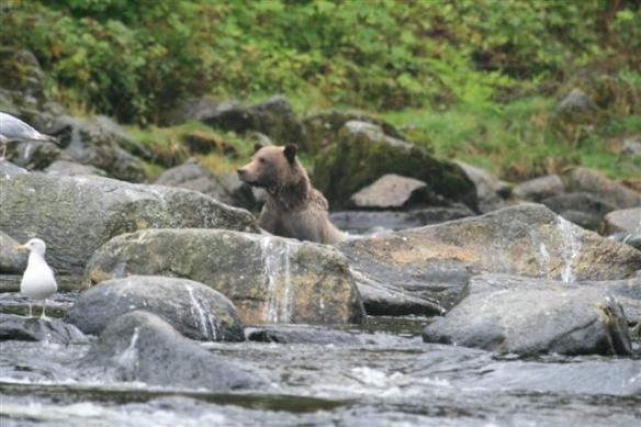 The other sister, all she did was sit in the water, must have felt good, the bugs were bad.