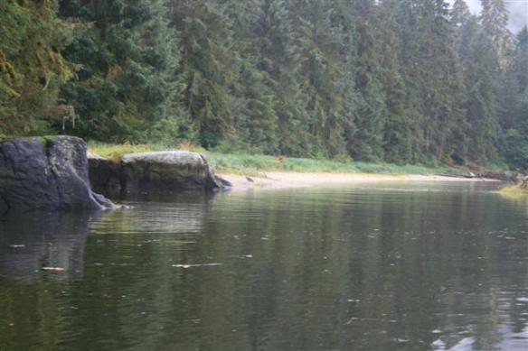 Sandy beach where most of the eagles hang out, plus the bears, early in the morning.