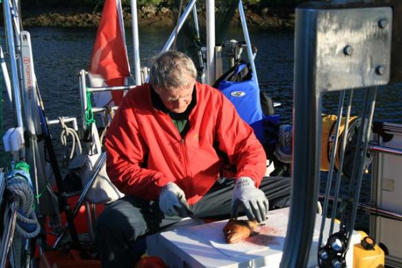 Bert came home with some nice cod.