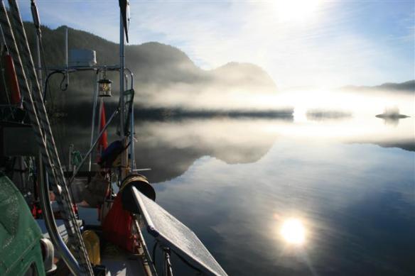Morning fog in the inlet
