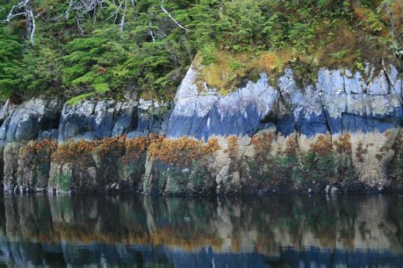 I had to share this photo, to show the colors of some of the B.C. shorelines.