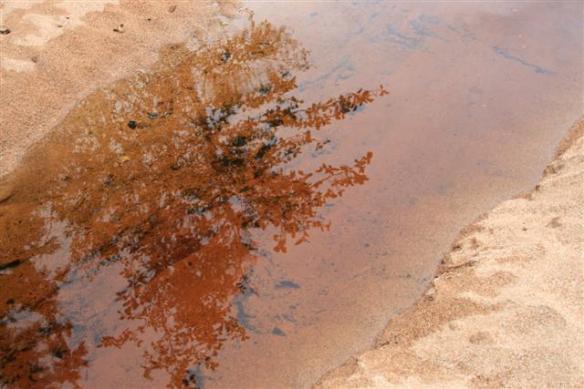Reflections in red and pink.