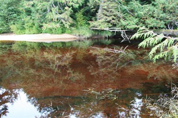 Beautiful shore line of Sagar lake