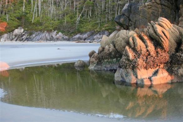 Every corner of this beach has a treasure waiting......