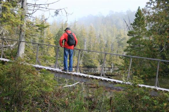 Bridges to cross....