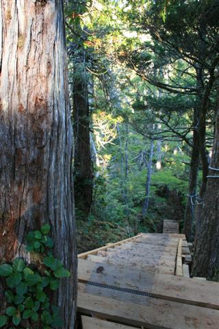 Stairs going way down......
