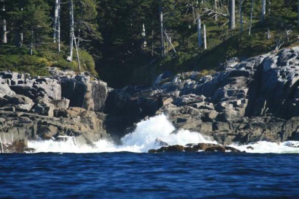 The constant pounding surf ........