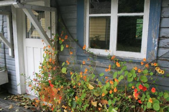 One of the old houses.