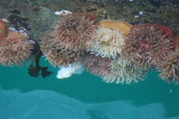 Beautiful clear water!!!