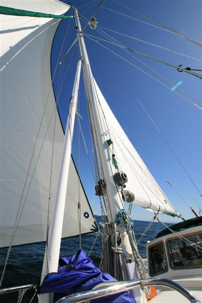 Curtsy, on a portside reach, very nice sailing indeed.