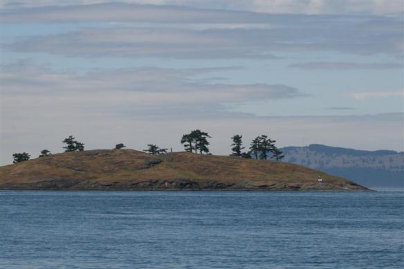 Not many trees left standing on these islands, i do wonder if they would eventually grow back, reseed themselves......