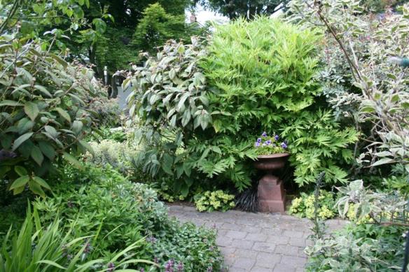 Small walkways wind themselves around the many perennials and trees, wonderful spot for a stroll...