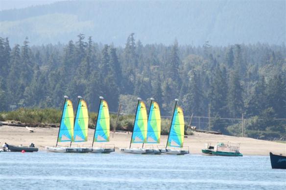 Every day, these sailboats are brought to the spit, so the kids can learn and have fun.