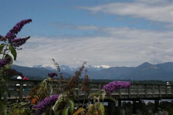 View from the marina, with the Comox glacier in the background.