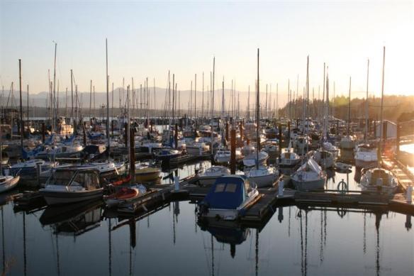 Comox, definately  a harbour for sailboats!!