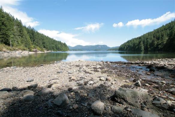 Looking into Waiatt Bay, Quadra island.