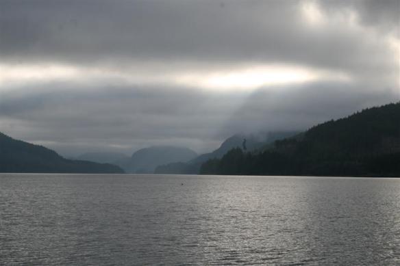 Early morning, Port Neville. 