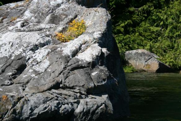 Boulders in Cutter Cove, broken off the high above cliffs.