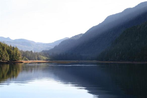 Morning light, looking towards the Klaskish river estuary.