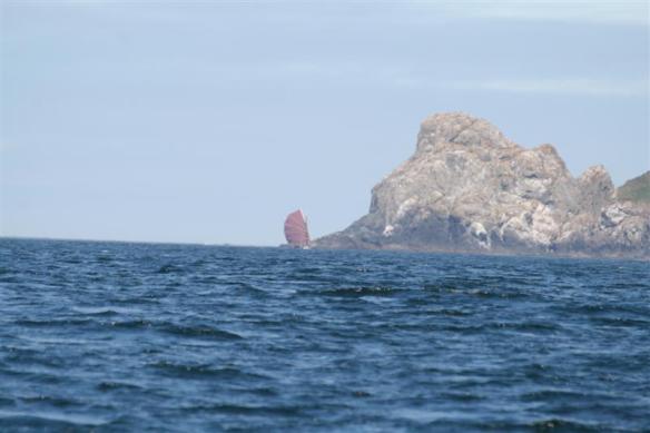 Sailing vessel Bertie, sailing in the distance. 