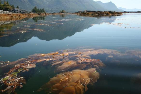 Among the Bunsby islands.