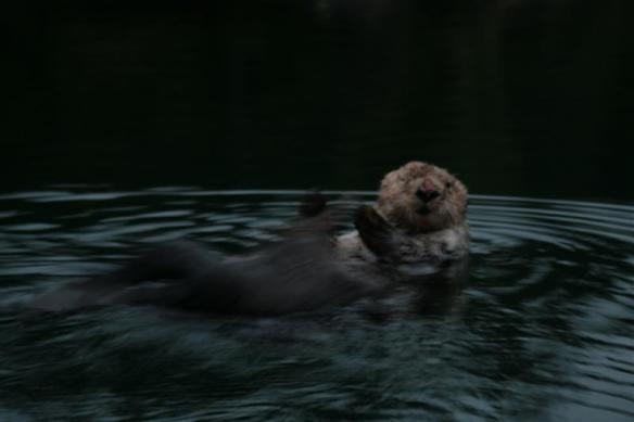 He kept looking right at me, she is still there......