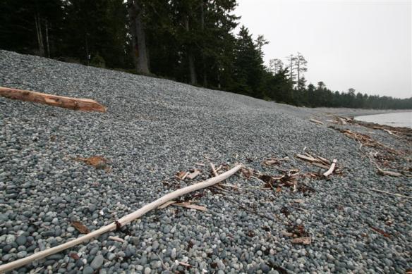 Heaps of rocks, as far as you can see....