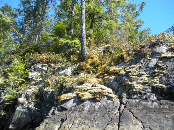 the Hanging gardens .