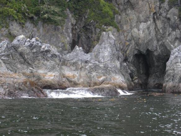 Incredibly wild, incredibly beautiful. 