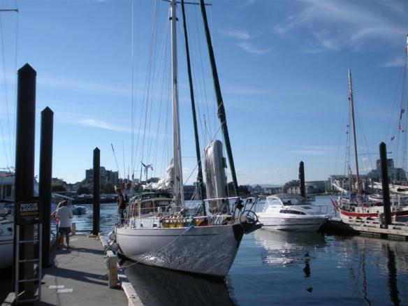 Curtsy, on the dock in Victoria.