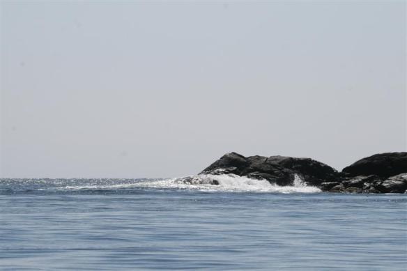 On the outside at Friendly Cove.