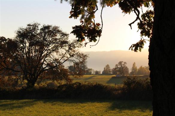 looking towards brentwood bay