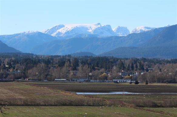 View of the Comox valley glacier, which actually is an ice field.