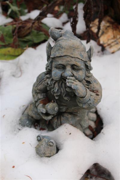 Frozen little gnome