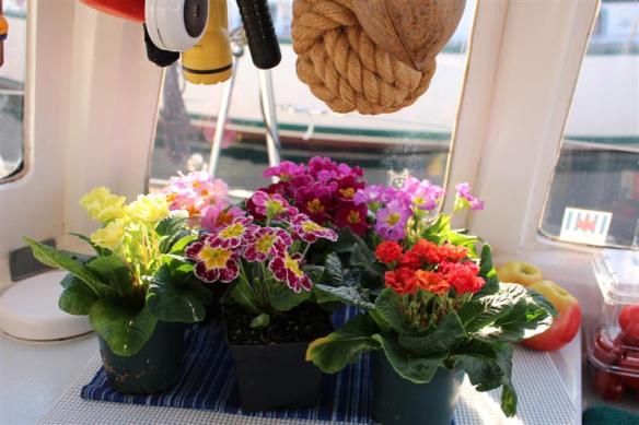 Spring!!!!   did you say spring??????