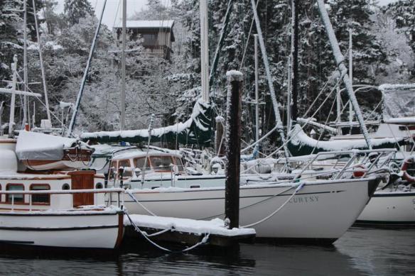 Curtsy and Donna Marie in the snow!!