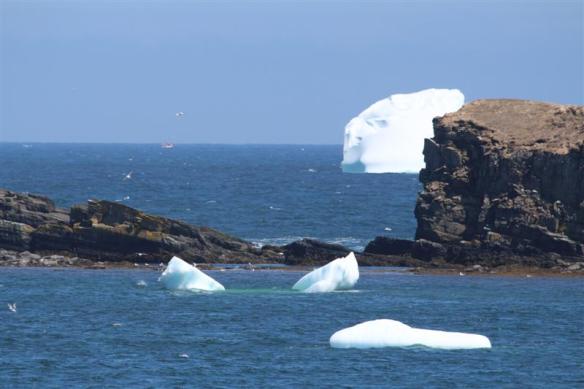 Lots of broken pieces of ice, called growlers.